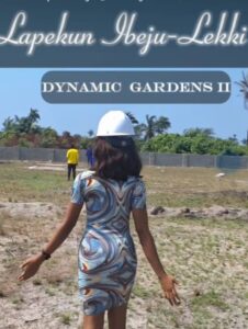 Dynamic Garden II