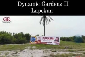 Dynamic Garden II